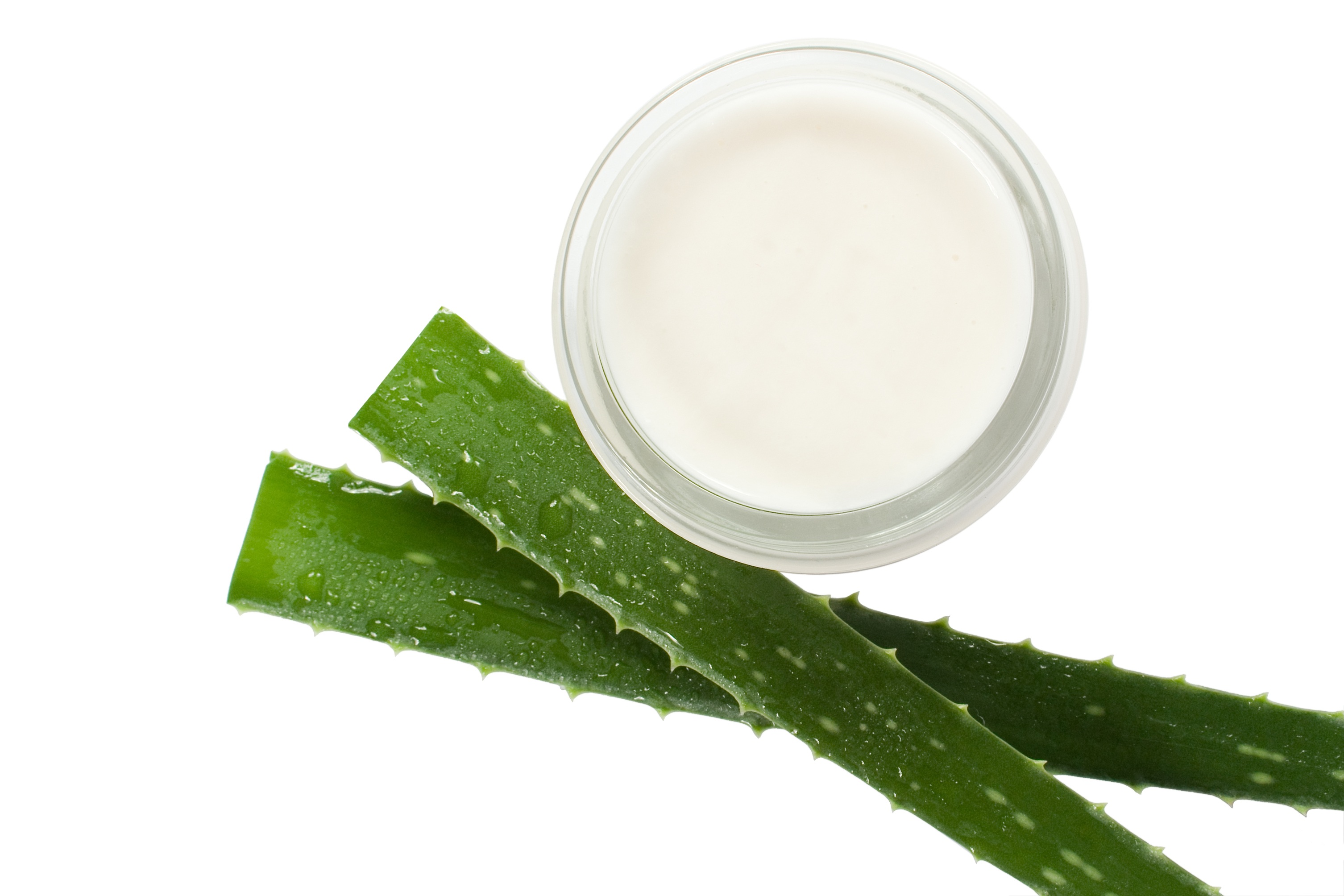 Natural Substitutes from Home to Cosmetic Beauty Products - Aloe vera gel
