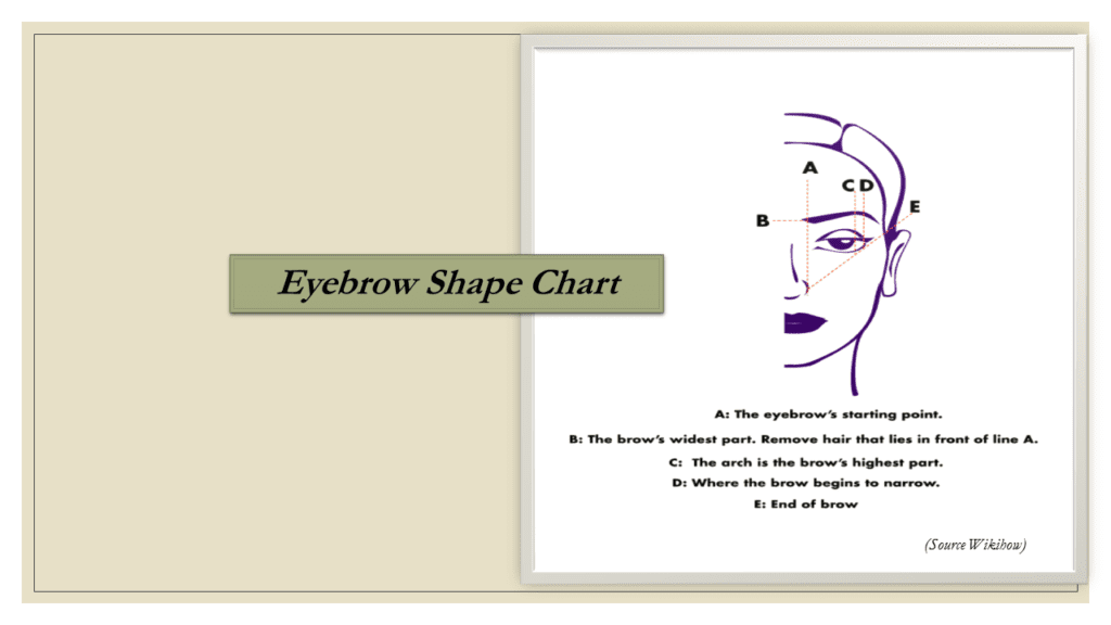 Eyebrow Shape Chart