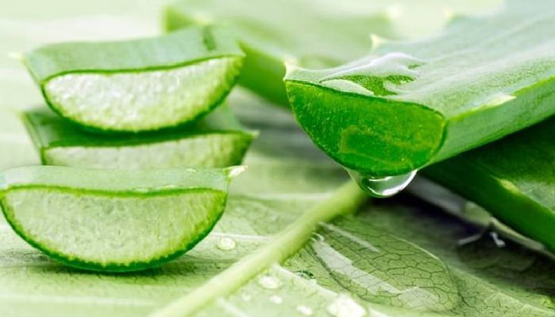 Home remedy to remove skin tanning - Apply Aloe vera on skin