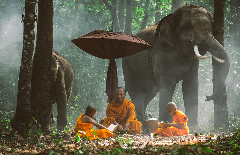 National Elephant Day-Thailand